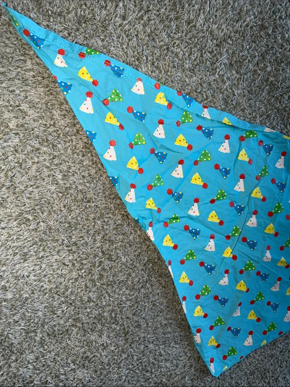 Top Paw bright teal